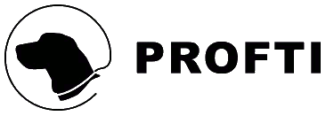 PROFTI